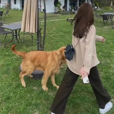 父子枭雄